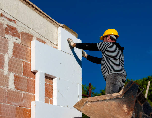 Best Insulation Replacement Services  in Plover, WI