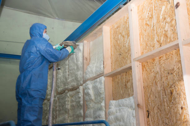 Best Insulation Contractor Near Me  in Plover, WI